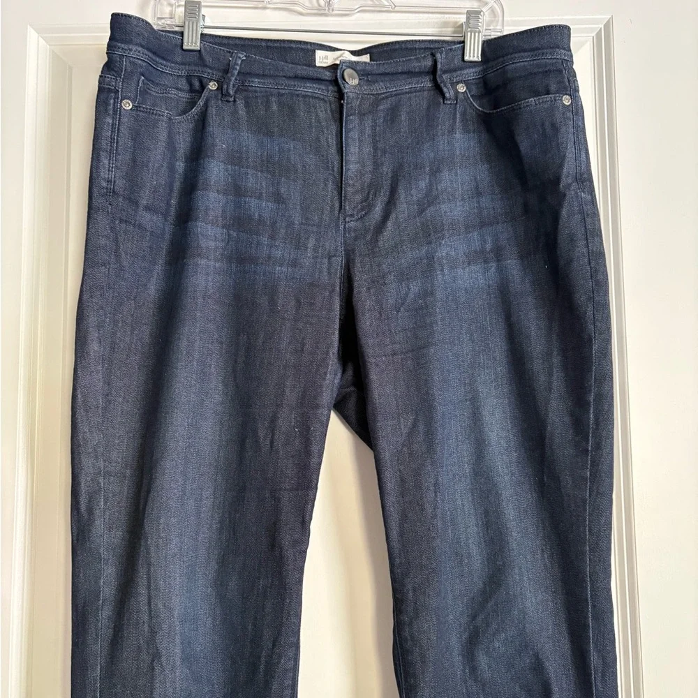 J.Jill Denim Authentic Fit Women’s Jeans